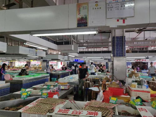 曝光 廣東珠海市斗門區(qū)白藤頭水產(chǎn)批發(fā)市場設(shè)立 黑榜 ,這幾個攤位被停業(yè)整頓